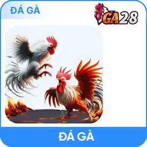 Đá Gà 78WIN